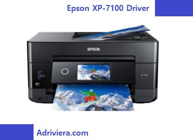 Epson XP 7100 Driver Windows 11