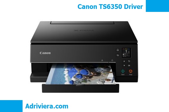 Canon TS6350 Driver free download windows 11